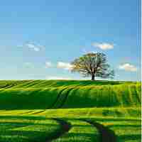 高‍效​CDN节‌点﻿平﻿台‌